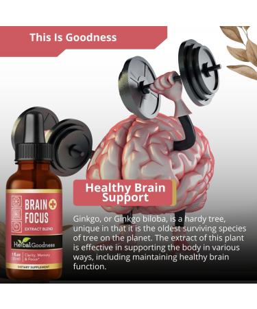 Herbal Goodness Brain and Focus Support - Nootropic Brain Supplement with Gingko and Lion's Mane Brain Health - Non-GMO Natural Clarity Energy & Mental Performance | Vegan Liquid Drops 1 fl. oz - Buy Online on GoSupps.com