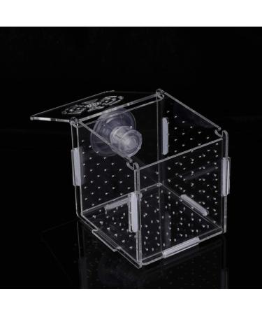 POPETPOP Fish Breeding Box - Isolation Hatchery for Small Baby Fish & Shrimp - Suction Cup Size 1 - Buy Online on GoSupps.com