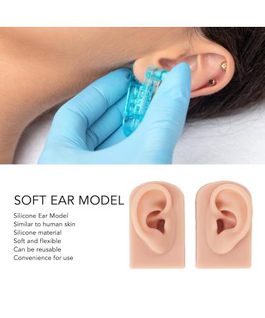 Mid Skin Ear Model Silicone Piercing Model for Ear Massage Practice Teaching Display for School and Hospital (Medium Skin Color) - Buy Online on GoSupps.com
