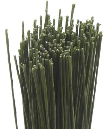 CCINEE 24 Gauge Dark Green Floral Wire Stem 16 Inch - 200PCS - Buy Online on GoSupps.com