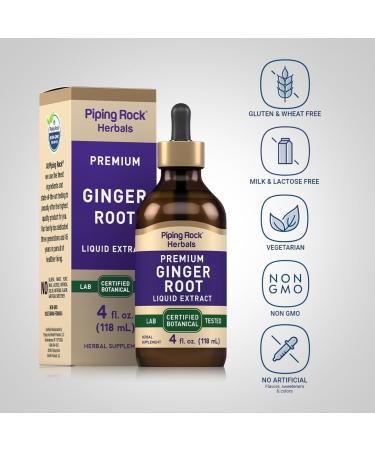 Piping Rock Ginger Extract Liquid Drops | 4 fl oz | Premium Tincture Supplement | Zingiber Officinale Root | Vegetarian Non-GMO Gluten Free - Buy Online on GoSupps.com