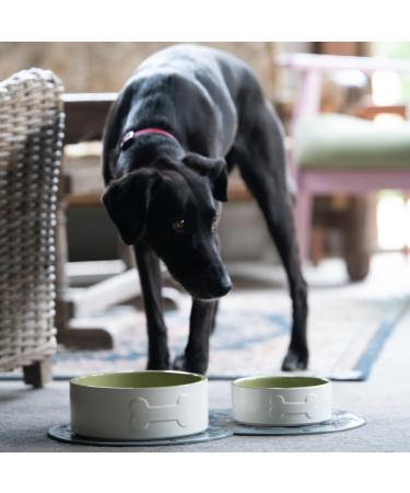 Petface Ceramic Dog Bowl 15cm Cream/Green - Durable Bone Shape Bowl for Dogs - Buy Online on GoSupps.com
