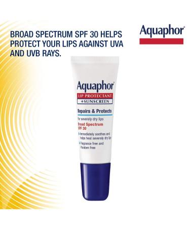 Aquaphor Lip Protectant + Sunscreen SPF 30 - Moisturizing Lip Care (0.35 oz) - Buy Online on GoSupps.com