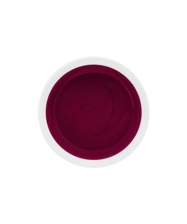 ND24 NAILDESIGN Color Gel - Premium Vegan UV & LED Gel for Salon Quality Manicure - Classic Bordeaux Violet (5ml) | High Pigmentation & Durability - Made in Germany - Buy Online on GoSupps.com