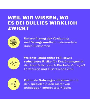 Buy Hey Holy 7kg Grain-Free Bulldog Dry Food with 40% Salmon - Premium Animal Protein for Adult Dogs - Buy Online on GoSupps.com
