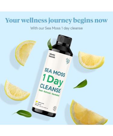 Atlantic Naturals Sea Moss 1 Day Cleanse - Full Body Detox for Kidney, Liver, Gut Health & Immune Support - Buy Online on GoSupps.com
