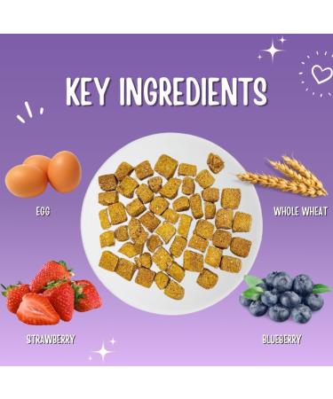 Just Natural Paws Strawberry & Blueberry Dog Treats - Healthy Human-Grade Superfood Dog Training Treats Natural & Vegetarian No Preservatives or Additives - Buy Online on GoSupps.com