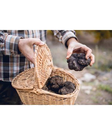 Sanniti Italian Whole Summer Truffle 1.5 oz - Premium Quality Truffle for Gourmet Cooking - Buy Online on GoSupps.com