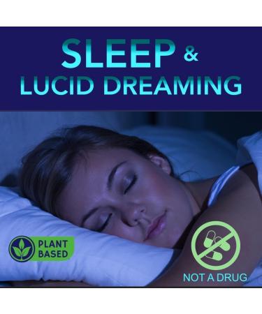 Lucid Dreams Deep Sleep - Mugwort Herb 5 htp Mucuna Pruriens Choline Supplements - Gummies Sugar Free Vegan 60 ct 60 Count (Pack of 1) - Buy Online on GoSupps.com