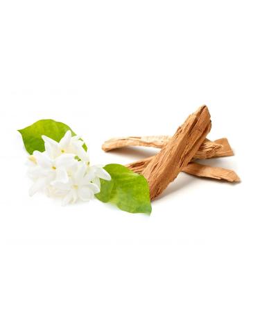 Derek Lam 10 Crosby - Ellipsis - 1.7 Oz Eau De Parfum - A Complex Luscious Fragrance Mist For Women - Perfume Spray With Warm Woody Sweet Floral Notes - Buy Online on GoSupps.com