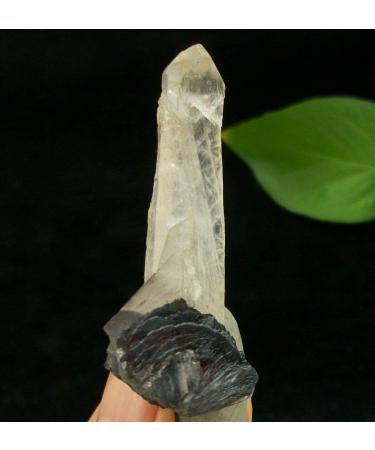 55mm Powerful Hematite Rosette with Quartz Cluster Specimen China 3777 JZIGTDEM - Buy Online on GoSupps.com