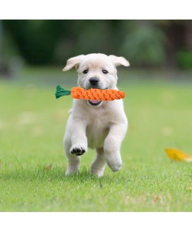 Vesaneae 2 Pack Dog Toys - Interactive Carrot & Rope Toys for Small to Medium Dogs | Tooth Cleaning & Puppy Play - Buy Online on GoSupps.com