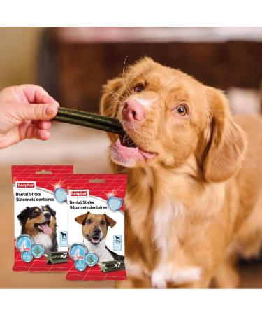 Beaphar Dental Sticks for Small Dogs 1 count (Pack of 1) Small Dogs - Buy Online on GoSupps.com