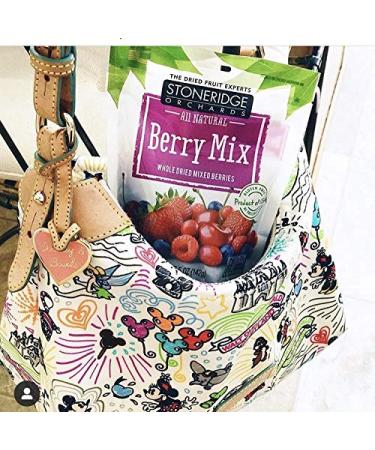Stoneridge Orchards Berry Mix - Whole Dried Mixed Berries 5 oz (142 g) | Buy Online - Buy Online on GoSupps.com