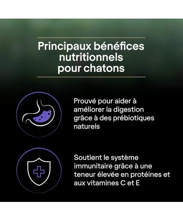 Purina Pro Plan Liveclear Kitten 1 Year - Rich in Turkey - 1.4Kg - Buy Online on GoSupps.com