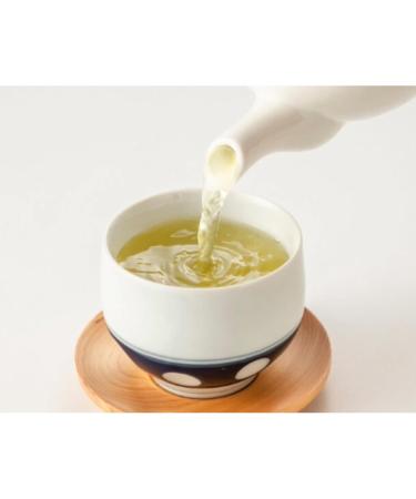 Teabalmy Japanese Herbal Tea Organic Matcha Hojicha Poweder Gyokuro Sencha Kabusecha Fukamusi Ognc Sencha Houjicha Genmaicha (Fukamusi 30 g (Pack of 1)) Fukamusi 30 g (Pack of 1) - Buy Online on GoSupps.com