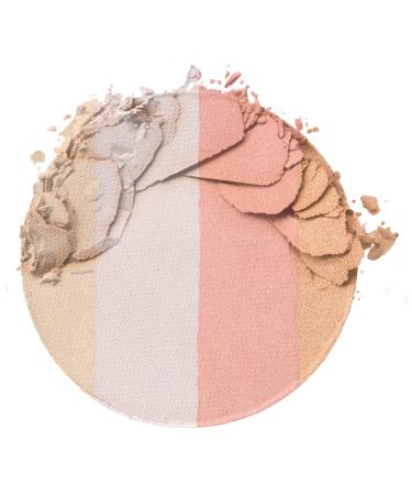 Wet n Wild MegaGlo Illuminating Blush Palette - Catwalk Pink - Buy Online on GoSupps.com