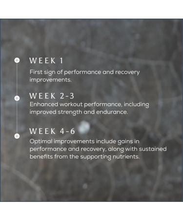  Ancient + Brave Ancient + Brave True Creatine+ 180g Premium quality creatine monohydrate powder 100% micronized creatine for - Buy Online on GoSupps.com