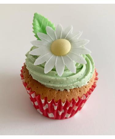 12 Gorgeous Mixed Colour Edible Wafer Daisies & 12 Pretty Leaves - Buy Online on GoSupps.com