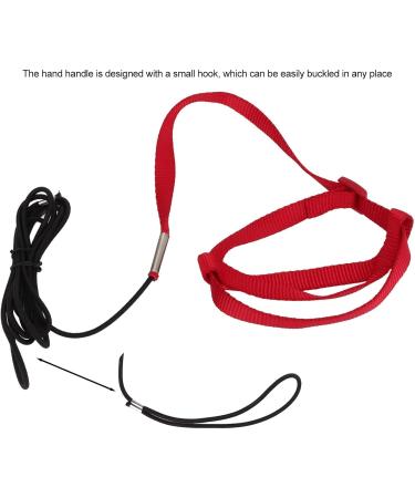 Buy Wavy Bird Dishes & Training Leashes for Nymphensittich & Alexandriner - International Shipping - Buy Online on GoSupps.com