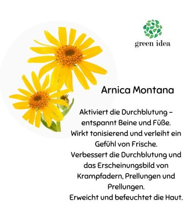  green idea green idea - Arnica Montana Herb Extract - Sports Massage - For Bruises and Sprains - Bruises - Hair Strengthening - Muscle Relaxation - Natural - With Menthol 100 ml - Buy Online on GoSupps.com