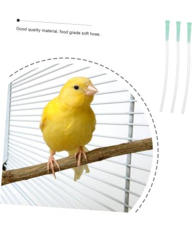 Buy PopetPop 6 STK Bird Feeding Syringe - Baby Parrot Oral Feeding Accessories | 0.7x14cm | Perfect for Young Chicks! - Buy Online on GoSupps.com