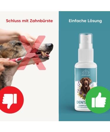 Pfot Buddies Dental Fairy Spray for Dogs & Cats - Natural Tartar Remover Fresh Breath & Dental Care - 100ml with 50 Fermented Herbs - Lasts Up to 9 Months - Buy Online on GoSupps.com