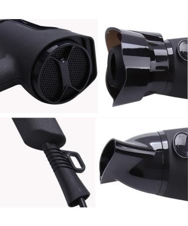 Professional Ionic Hair Dryer 2000W Powerful Hairdryers with 2 Nozzles Blow Dryer Fast Dry 2 Speed 3 Heat Cool Shot Setting Long Cable Low Noise AC Motor Fast Drying Time and Frizz Free Shine small - Buy Online on GoSupps.com
