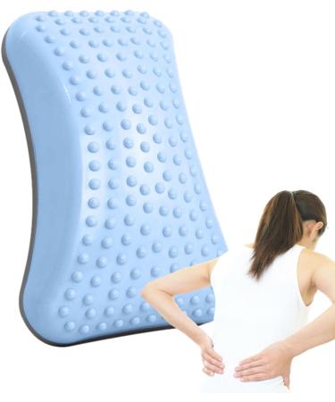 Geruwam Backrest Pillow | Ergonomic Lumbar Support & Posture Correction | Inflatable Lower Back Support Pillow - Blue (Includes Gas Needle) - Buy Online on GoSupps.com