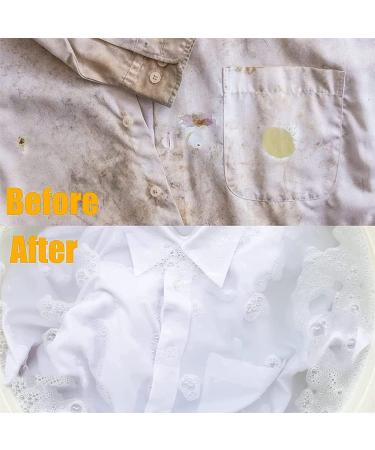 Garment Stubborn Stain Cleaner Stain Remover for Clothes Fabric Stain Remover Quick Remove Oil Stains Coffee Juice Blood Etc (2 Pcs) - Buy Online on GoSupps.com