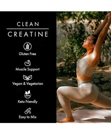Clean Creatine - 100% Creapure Monohydrate Powder for Muscle Growth | 450g | Vegan Keto Gluten-Free Easy to Mix | 90 Servings - Buy Online on GoSupps.com