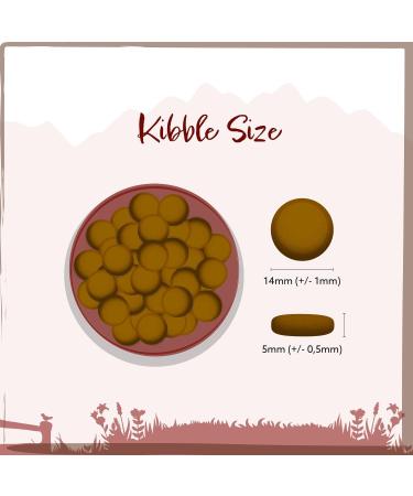 Wild Animal Premium Dry Dog Food Angus Beef with Sweet Potato and Carrot Grain Free Pack of 1 (1 x 2 kg) - Buy Online on GoSupps.com