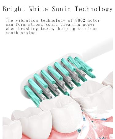 HKF Sonic Electric Toothbrush - USB Rechargeable with 40 Days Use, Smart Timer, 5 Modes & 4 Brush Heads - White - Buy Online on GoSupps.com