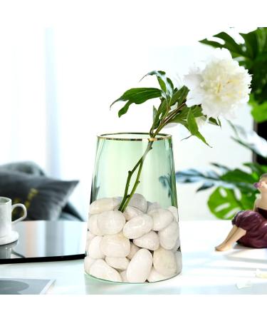 LONTOM 2.2lb White Pebbles Natural Decorative Stone Polished Gravel River Rocks for Plants Home DIY Decor Aquarium Gravel Vase Fillers Fairy Garden Landscaping Outdoor Stones - Buy Online on GoSupps.com