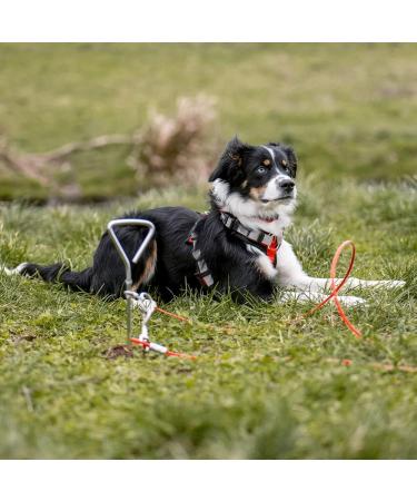 Nobby Inspling - Premium Quality Pet Supplies | Fast International Shipping - Buy Online on GoSupps.com