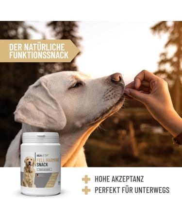 Reavet Fellsnack Omega-3 for Dogs | Healthy Skin & Shiny Fur | Grain-Free Salmon Oil Snack | 170g - Buy Online on GoSupps.com