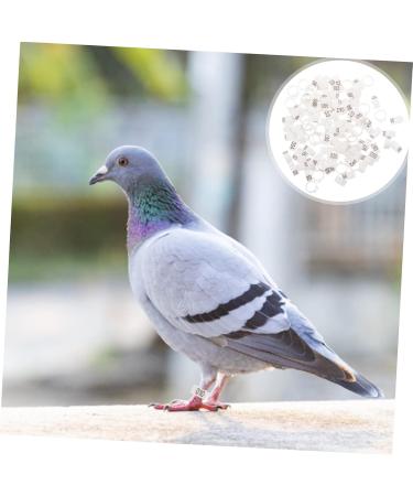 100 pcs Stuff Poultry Hen Baby Leg Xxcm White Pigeons Supplies Meat Feet Cockatiel Identification 1.3X1.3CM White - Buy Online on GoSupps.com