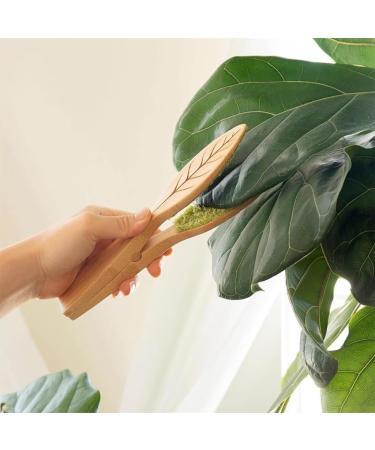 Fattoz 2PCS Leaf Cleaning Tongs Set Kit Plant Leaf Cleaning Tongs Plant Leaf Lint Cleaner with Wood Handle Leaf Cleaning Tool Set Kit - Buy Online on GoSupps.com