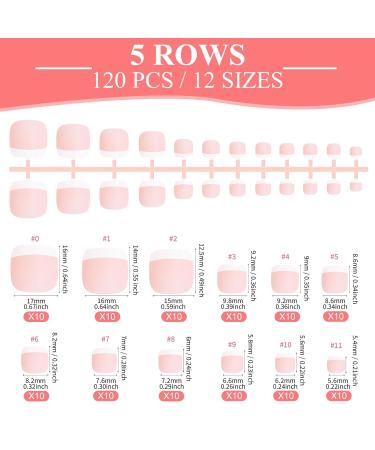 Melliex 120-Piece Wrong Tooth Kit French Natural Matt Toenails Full Cover Tips for Women | 12 Sizes Available - Buy Online on GoSupps.com