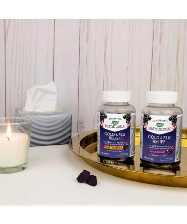 Nature's Way Sambucus Cold and Flu Relief Original Elderberry Gummies Used in Herbal Medicine to Help Relieve Symptoms (Cough Runny Nose and Sore Throat) in Adults 60 Gummies 60 count (Pack of 1) Medicine - Buy Online on GoSupps.com