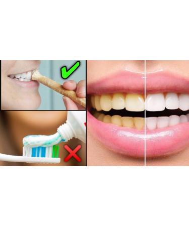 Organic Miswak Sticks for Teeth - Natural Chewing Sticks | Pack of 12 | Cleaning Disinfecting & Whitening - Buy Online on GoSupps.com