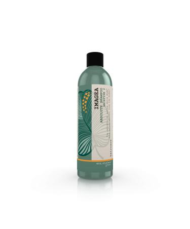 Elgon Elgon IMAGEA ABSOLUTE SHAMPOO 250 ml