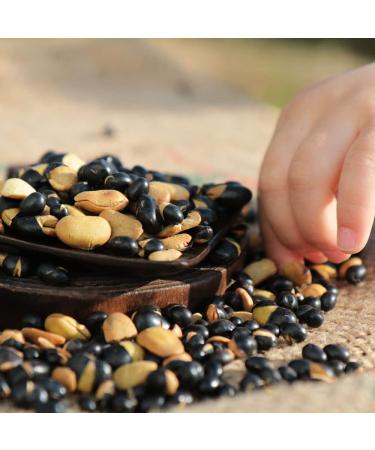 Sohwa Korean Crispy Roasted Black Bean Snack 500g (17.6oz) - Buy Online on GoSupps.com