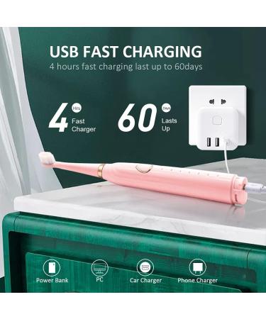 HAXAYOLO Sonic Electric Toothbrush - USB Rechargeable, 6 Modes, 5 Brush Heads, Whitening Toothbrush (Pink) - Buy Online on GoSupps.com