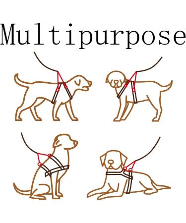 Double Dog Lead for Walking 2 Dogs No Tangle No Tangle Double Dog Distributor Lead with Adjustable Length Buckle Double Dog for Dog Lead for Small Medium and Large Pet (Black) - Buy Online on GoSupps.com