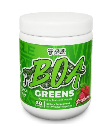 BOA Greens Powder - Organic Superfood Supplement with Fruits and Veggie Blend Antioxidant Mushroom Blends - Supports Digestive Health Gluten Free Non-GMO Vegan (Raspberry - 180g)