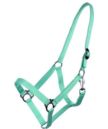 NetProShop Halter & Lead Rope - Turquoise for Mini Shetty to XL Full Size Pony - Buy Online on GoSupps.com