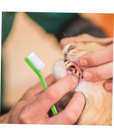 COSMEVIVI 10pcs Pet Toothbrush Pet Cleaning Toothbrush Cat Toothpaste Pet Toothpaste Dual-head Dog Puppy Nylon - Buy Online on GoSupps.com