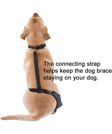 Dog Knee Brace for Hind and Rear Leg Knee Brace for Dog Support for Dog ACL CCL Cruciate Ligament Injury Joint Pain and Muscle Sore(XL/Right) - Buy Online on GoSupps.com