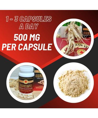 Canadian Vita Ginseng Supplement Capsules - Pure Ginseng Root Powder - Energy/Immunity/Focus/Stress Relief - 500 mg/Capsule - Buy Online on GoSupps.com